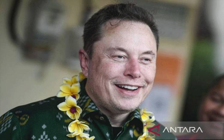 Elon Musk Serukan Penghentian Pendanaan untuk PBB