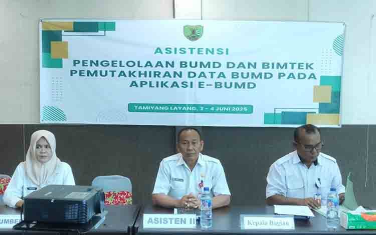 Pemkab Barito Timur Dorong Profesionalisme Pengelolaan BUMD Melalui Asistensi Teknis