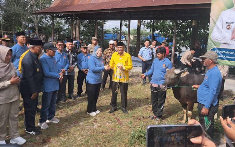 161 Ekor Hewan Kurban Didistribusikan Pemkab Kobar di 6 Kecamatan