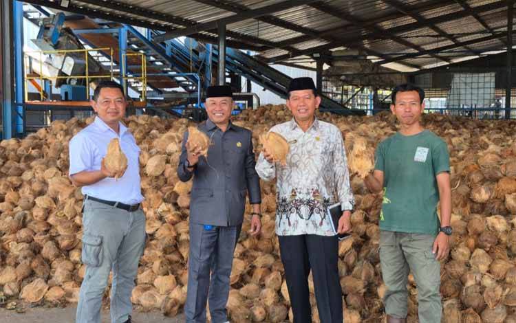 DPRD Kotim: Kelapa di Wilayah Selatan Miliki Potensi Besar, Pemerintah Harus Bantu Peremajaan