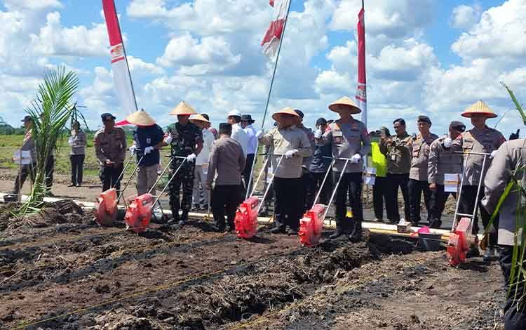 CBI Group Dorong Produktivitas Pertanian Lewat Panen Jagung di Pulang Pisau