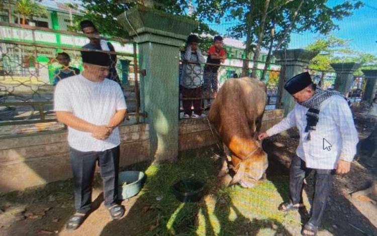 Bupati Kapuas Serahkan Sapi Kurban Bantuan Presiden ke Masjid Agung Al Mukkaram Amanah