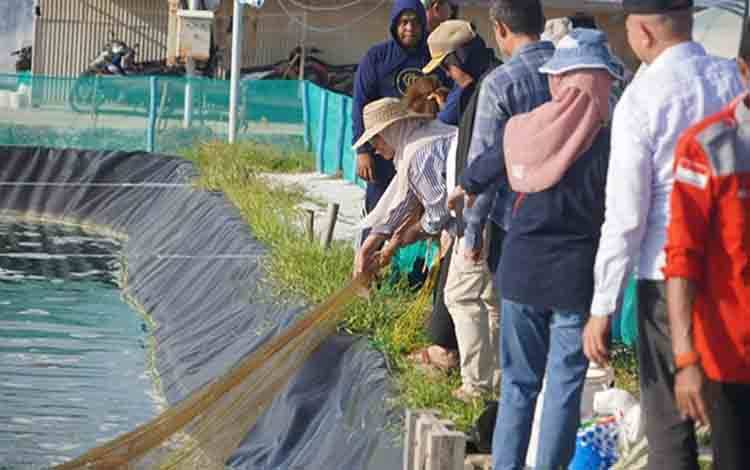 Shrimp Estate Diarahkan Jadi Kontributor Utama PAD Kalteng