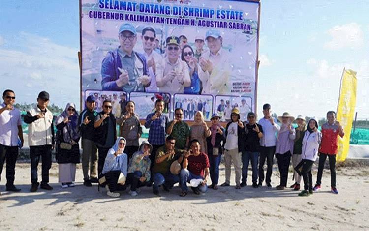 Produksi Udang Vaname di Sukamara Sasar Pasar Internasional