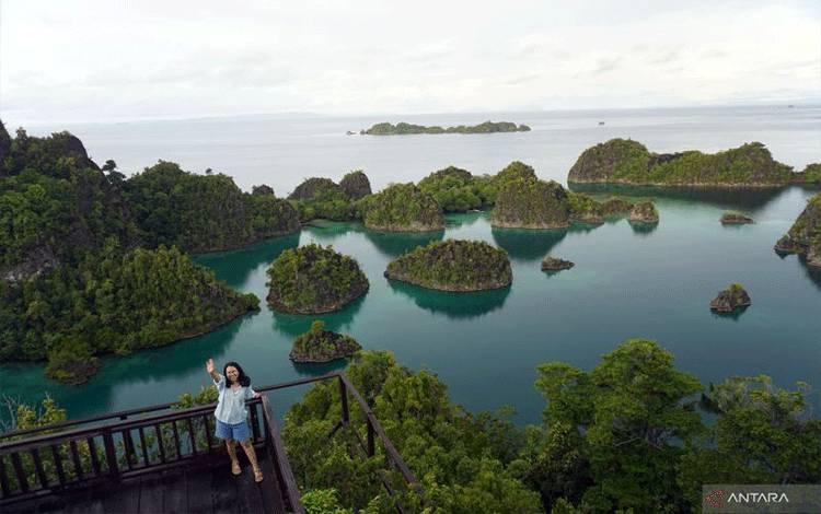MITI Minta Pemerintah Tindak Tegas Tambang Nikel yang Rusak Raja Ampat