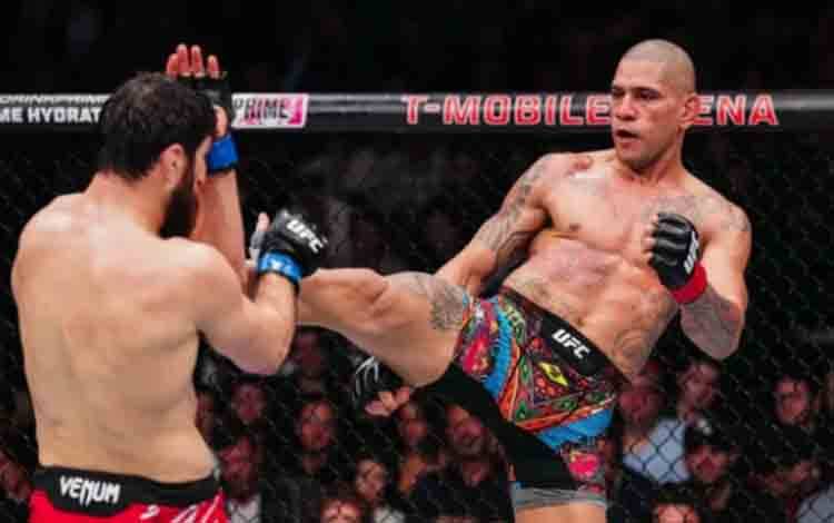 Alex Pereira Ungkap Jadwalnya untuk Merebut Kembali Gelar UFC