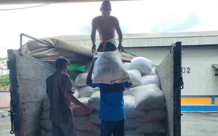 Perusahaan Sawit di Kotim Salip Petani Lokal dalam Pasokan Jagung ke Bulog