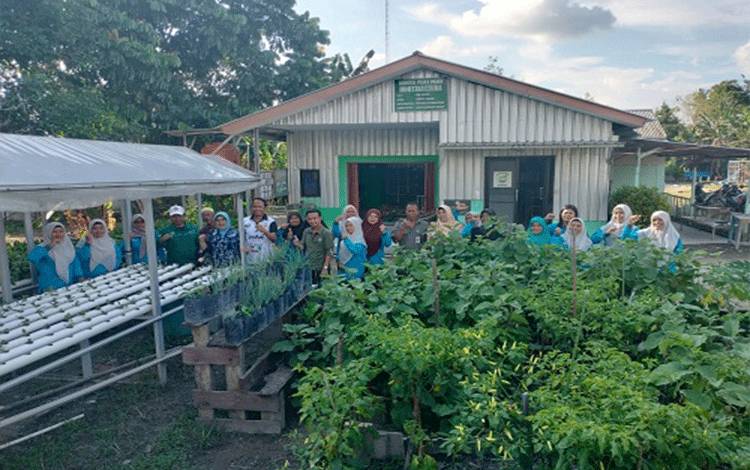 Wujudkan Ketahanan Pangan Keluarga, 60 KWT Pelaksana P2L Aktif di Kotawaringin Barat