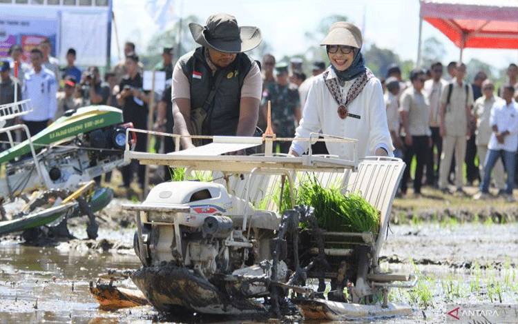 Kementan Lakukan Transformasi Pertanian Ketapang Lewat Brigade Pangan