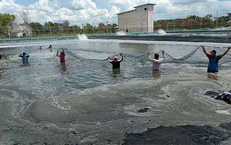 Desa Sei Pasir Sukamara Memiliki Beragam Potensi