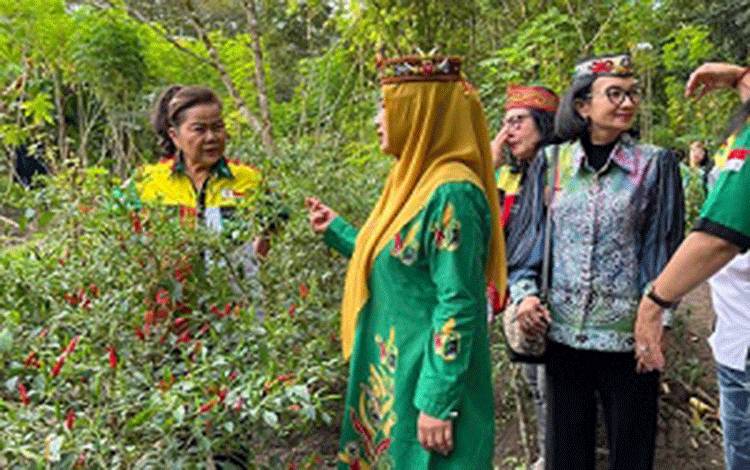 Tanam Lombok Mandiri Solusi Nyata Kendalikan Inflasi