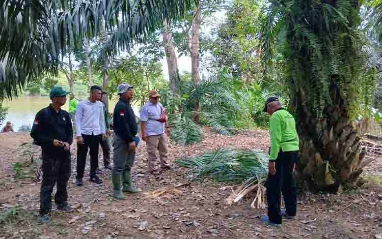 Patroli Gabungan Ungkap Pelanggaran Tata Guna Lahan: Kolaborasi Lintas Sektor Perkuat Komitmen Jaga Hutan Danau Seluluk Jaya