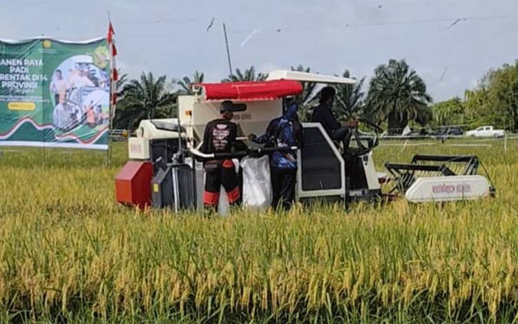 Sektor Pertanian Jadi Penyerap Tenaga Kerja Terbesar di Kotim