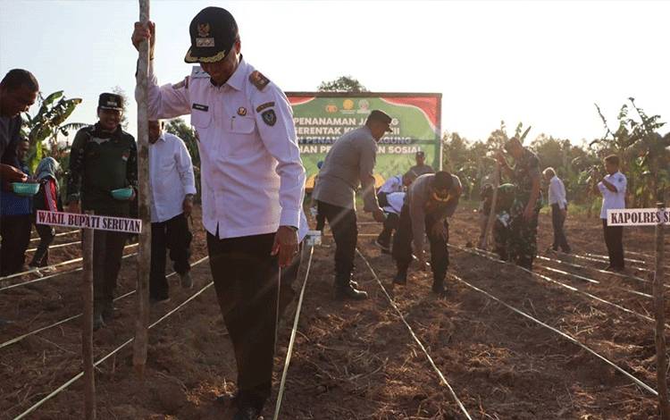 Wabup Seruyan Hadiri Penanaman Jagung, Dorong Ketahanan Pangan dan Kesejahteraan Petani