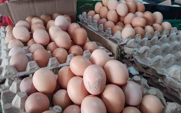 BI Kalteng Pantau Harga Telur Ayam demi Jaga Stabilitas Pangan