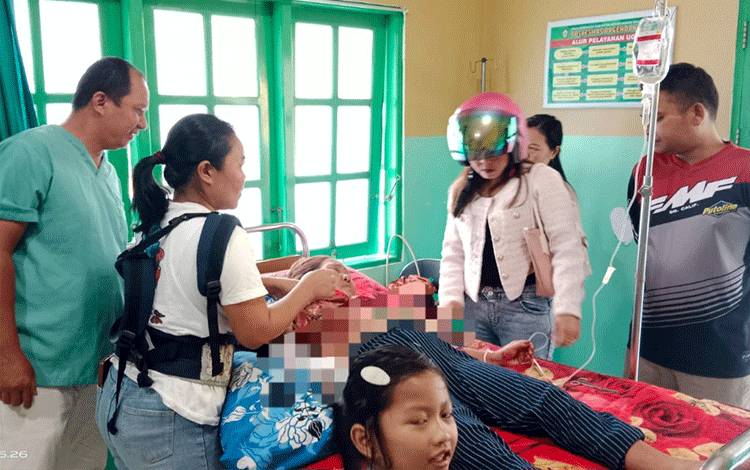 Buaya yang Terkam Nenek di Desa Bagendang Permai Diduga Buaya Muara