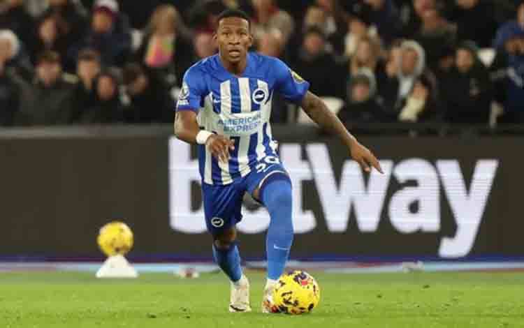 AC Milan Dilaporkan Sepakati Transfer Pervis Estupinan dari Brighton