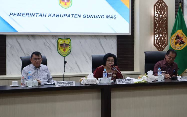 Wabup Gunung Mas Berharap Rakor Terkait Kesehatan Dapat Memperkuat Sistem Kesehatan Daerah
