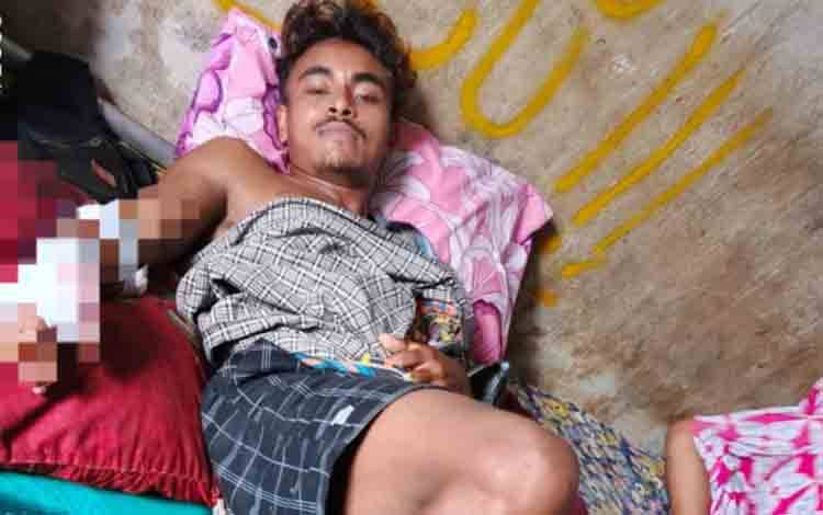Dua Pekerja Sawit di Kotim Diserang Beruang Madu