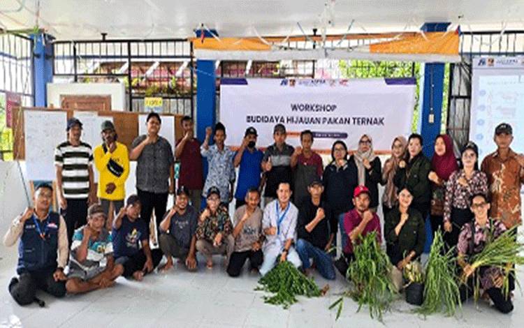 Peternak Sapi di Barito Utara Diberdayakan Melalui Workshop Budidaya Hijauan Pakan Ternak