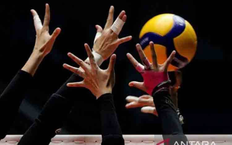 Klasemen Pul D Kejuaraan Dunia U-21: Brasil Dibayangi Jepang