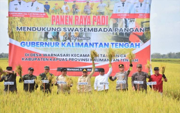 Gubernur Kalteng dan Bupati Kapuas Laksanakan Panen Raya Padi di Tamban Catur