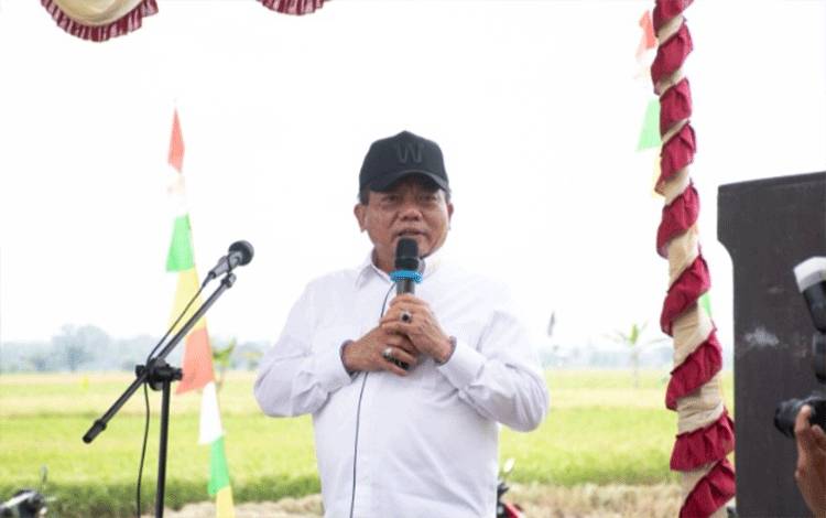 Pemerintah Kapuas Pacu Produksi Padi Melalui Dua Program Optimalisasi Lahan
