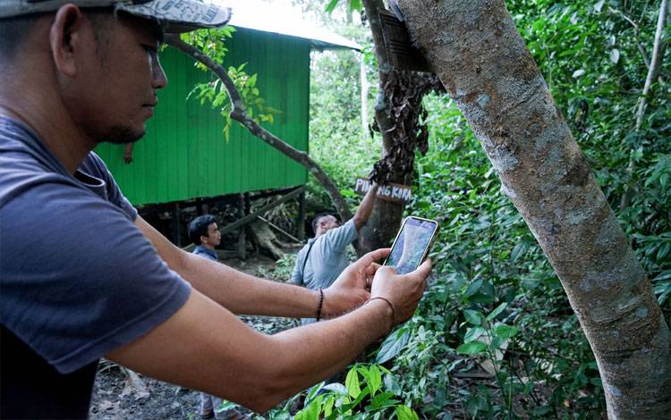 Anggota KTH Danau Seluluk Jaya Antusias Gunakan TreeAdopt untuk Pendataan Pohon