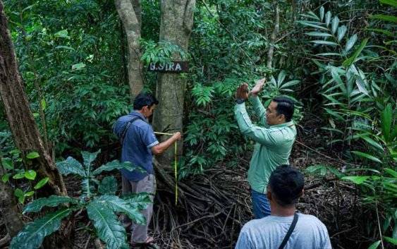 TreeAdopt Buka Peluang Adopsi Pohon, Dorong Partisipasi Publik dalam Pelestarian Hutan
