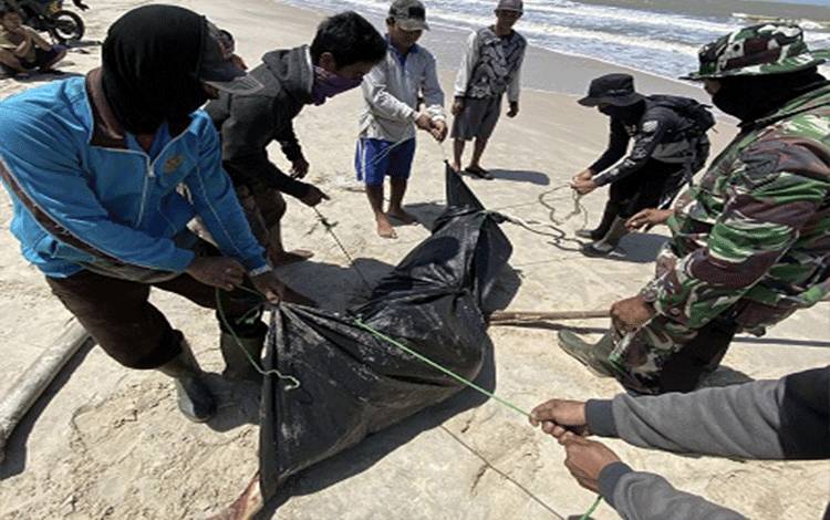 Tiga Hari Pencarian, ABK KM 7 Bintang Ditemukan Tewas di Pesisir Sungai Perlu