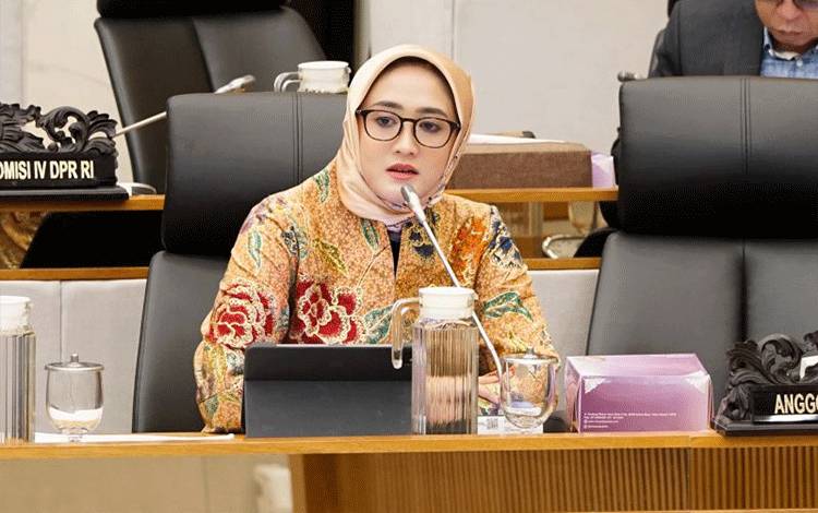 Anggota DPR: Pemerintah Perlu Dukung Modernisasi Penggilingan Beras
