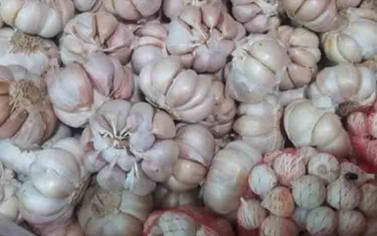 Harga Bawang Putih di Nanga Bulik Meroket, Tembus Rp60.000 per Kilogram