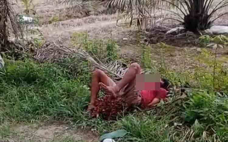 Seorang Warga Babak Belur setelah Kepergok Curi Buah Sawit di Sampit