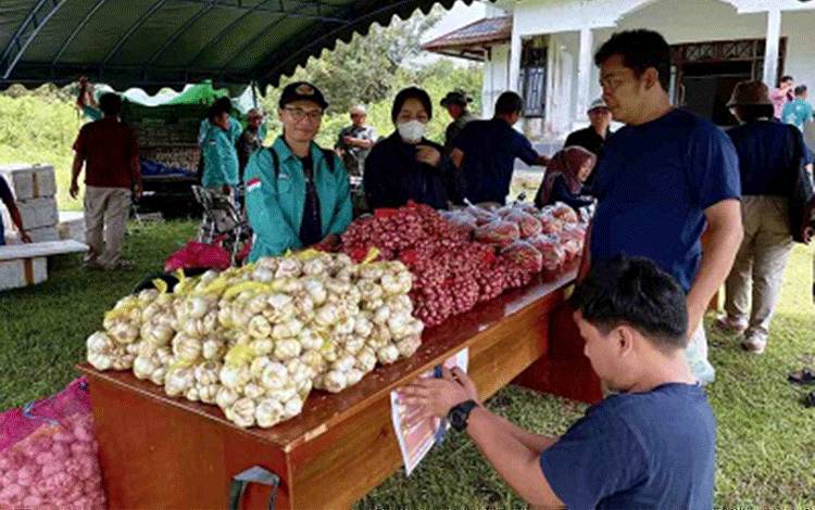Harga Bawang di Lamandau Kembali Stabil usai Bupati ke Pulau Jawa datangi Sentra Bawang