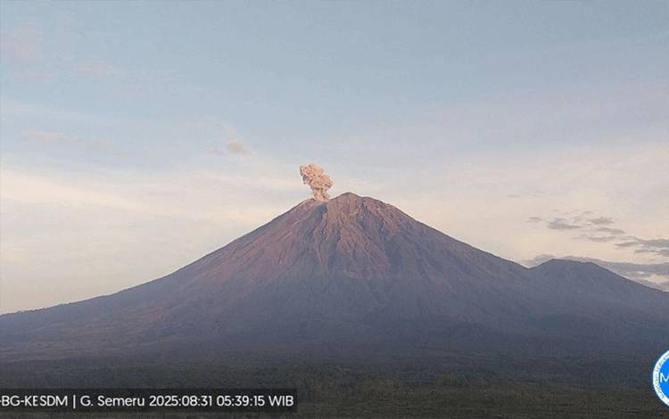Gunung Semeru Erupsi Tiga Kali dengan Tinggi Letusan hingga 900 Meter