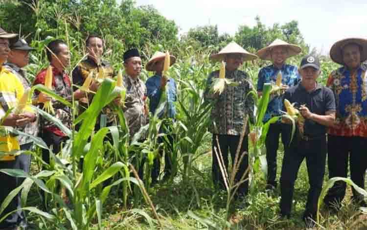 Wabup Hadiri Panen Raya Jagung dan Peresmian Bundaran Garuda di Mukti Manunggal