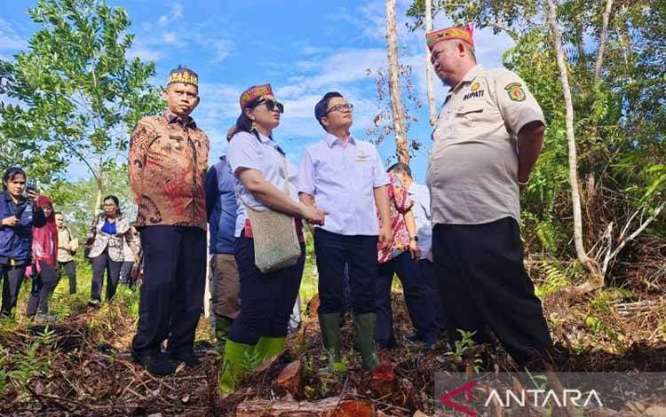 Wamendiktisaintek Tinjau 4 Lahan Calon Lokasi Sekolah Garuda Katingan