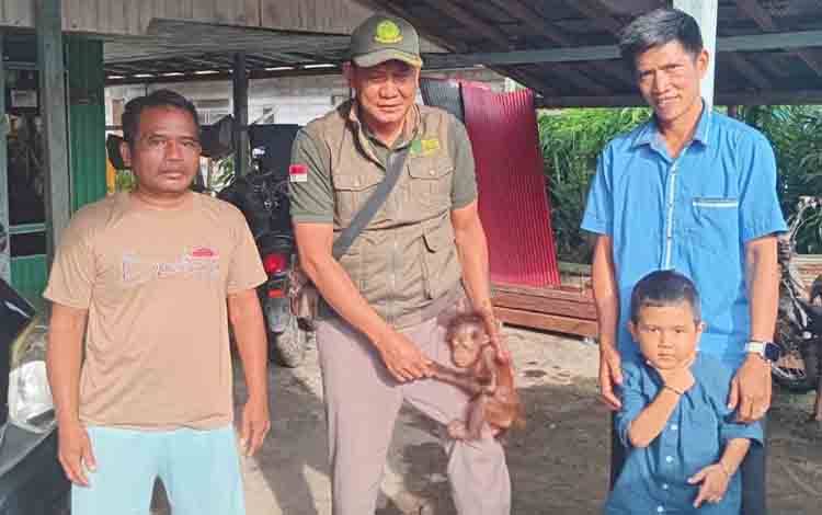Warga Desa Ramban Serahkan Bayi Orangutan ke BKSDA Sampit