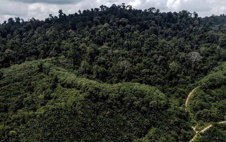 Pemkab Gumas Perkuat Program Hutan Adat untuk Lindungi 69 Ribu Hektare Lahan