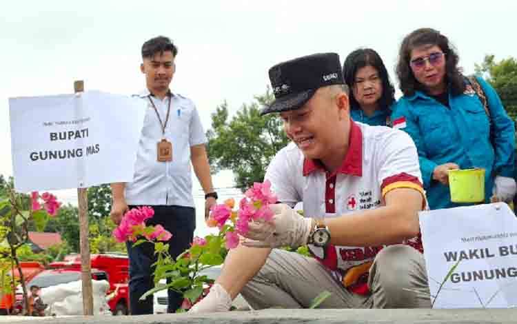 Bupati Gunung Mas Apresiasi PMI dan GOW Inisiasi Menanam Ratusan Bunga Bugenvil