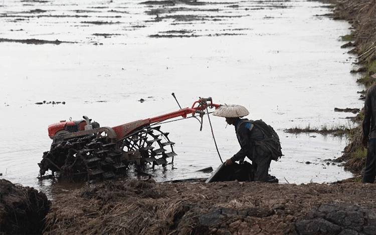 Wagub Kalteng Ingatkan Laporan Progres Cetak Sawah Harus Sesuai Fakta