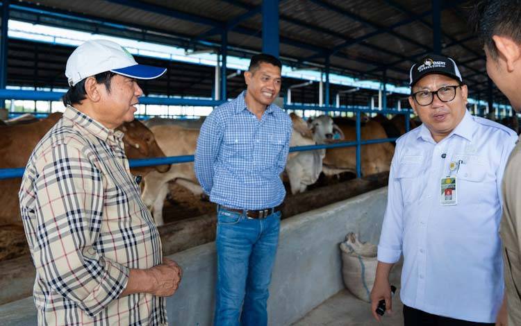 Permintaan Tinggi, PT Sulung Ranch Pastikan Sapi Impor Australia Terserap Pasar Lokal