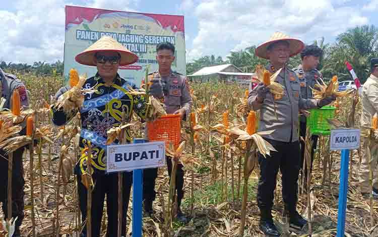 Bupati Pulpis Apresiasi Panen Jagung Kuartal III Polri