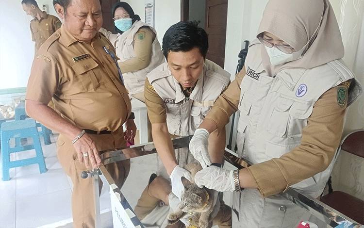 Cegah Rabies di Pulpis, Dinas Pertanian Gelar Vaksinasi Gratis Tanpa Dipungut Biaya