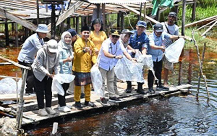 Agustiar Sabran Tebar Ribuan Benih Ikan Nila di Sungai Kapitan