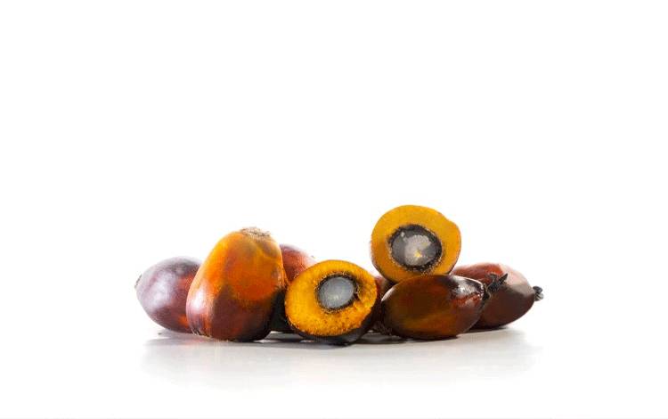 Minyak Sawit Merah Jadi Solusi Kekurangan Vitamin A di Indonesia