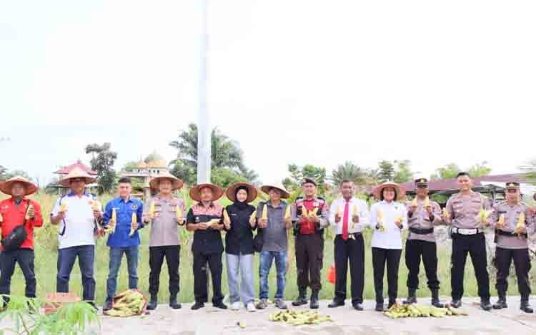 Wujud Sinergi Polisi: Kapolres Barsel Panen Jagung Bersama Wartawan