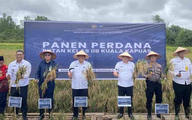 Kakanwil Kemenkumham Kalteng Apresiasi Suksesnya Panen Perdana Padi Rutan Kapuas