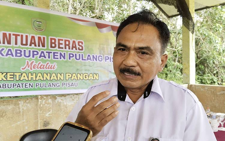 Kepala Bidang Ketahanan Pangan Kalteng Jadi Narasumber Sosialisasi Kerawanan Pangan di Pulpis