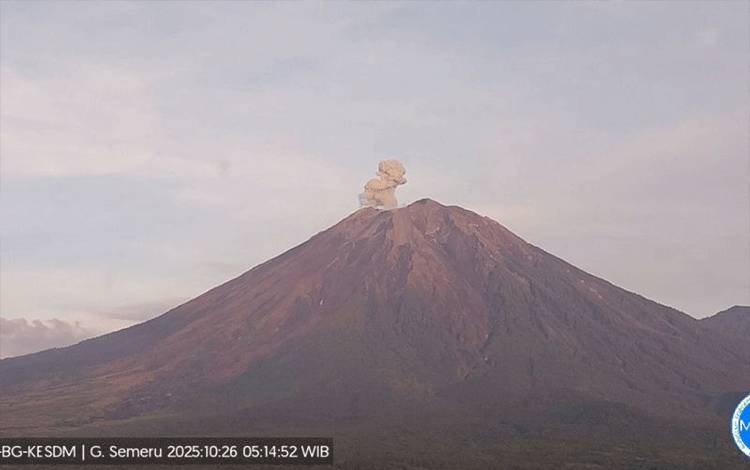 Gunung Semeru Kembali Erupsi dengan Tinggi Letusan hingga 700 Meter